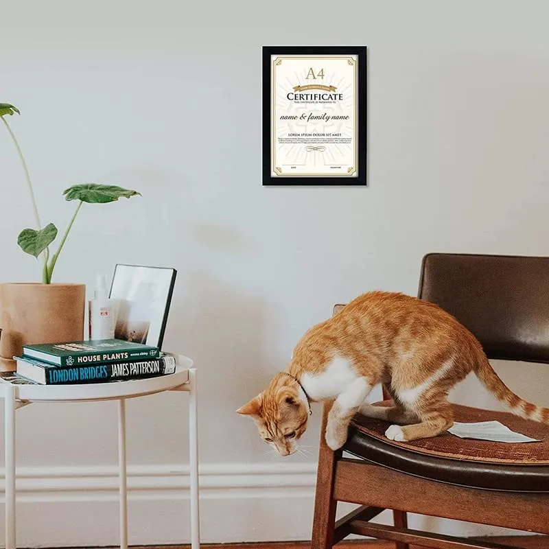 A3 Size Photo Frame 12 x 16 Black Frame Blank/Empty Photo Frame For Wall Artwork/Paintings/Quotes Synthetic Wood) Set-Pack of 2