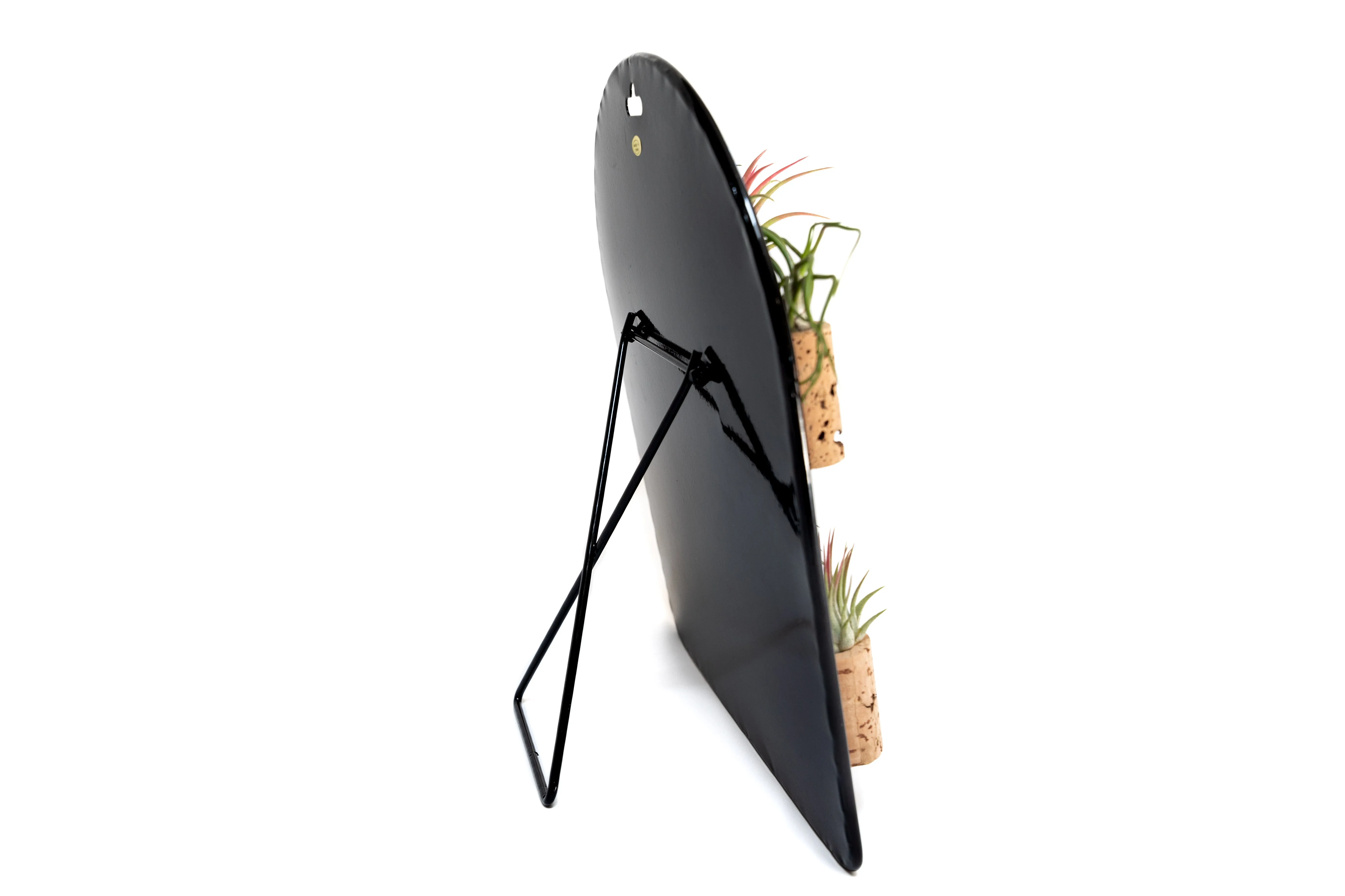 Black Magnetic Retail Display - Perfect for Tillandsia Air Plant Magnets
