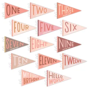 Blushing Meadow Petit Milestone Pennant by Lucy Darling