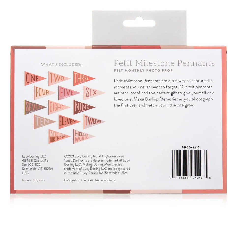 Blushing Meadow Petit Milestone Pennant by Lucy Darling