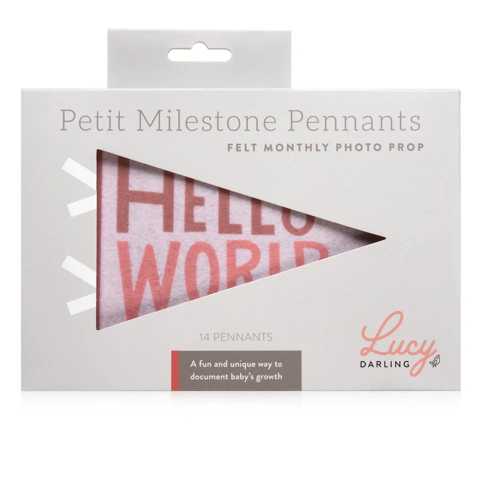 Blushing Meadow Petit Milestone Pennant by Lucy Darling