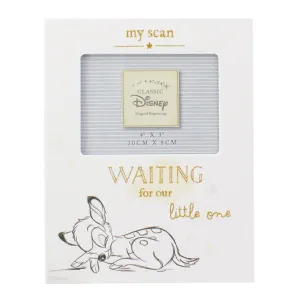 Disney Bambi My Scan baby Photo Frame 4x3
