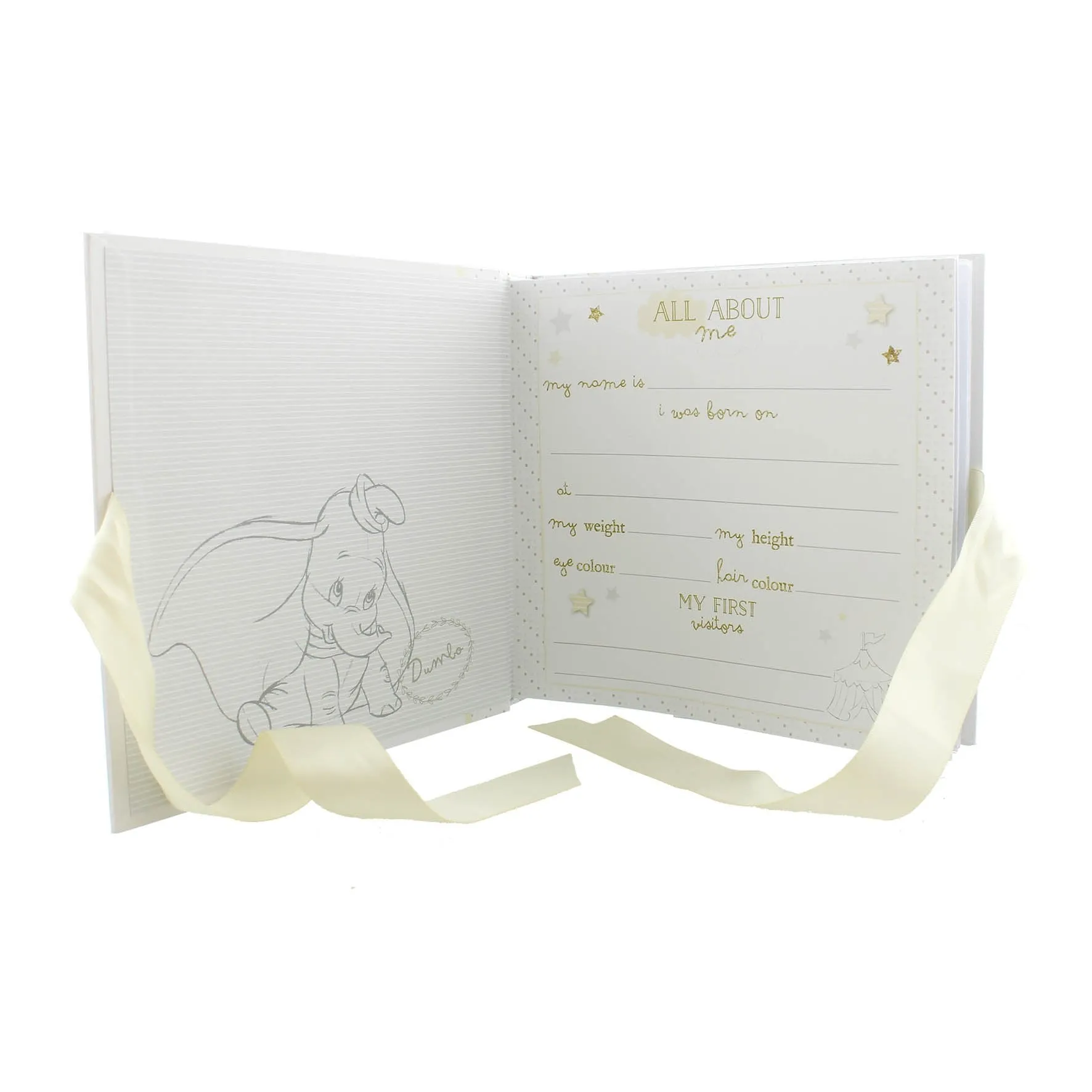 Disney Dumbo Magical Beginnings 4" x 6" Baby Photo Album