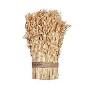 Dried Natural Harvest Grass Standing Bundle