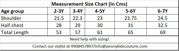 Dual shade Asymmetric Sequence Flared Dress