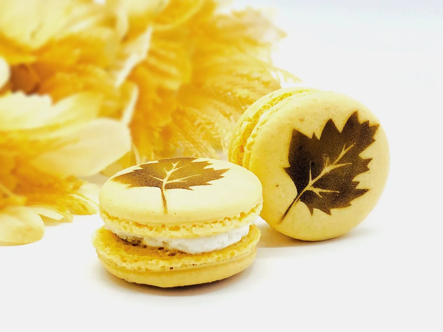 Leaf Macarons | Custom Gourmet Macarons | Perfect for Thanksgiving and Your Next Holiday Celebrations