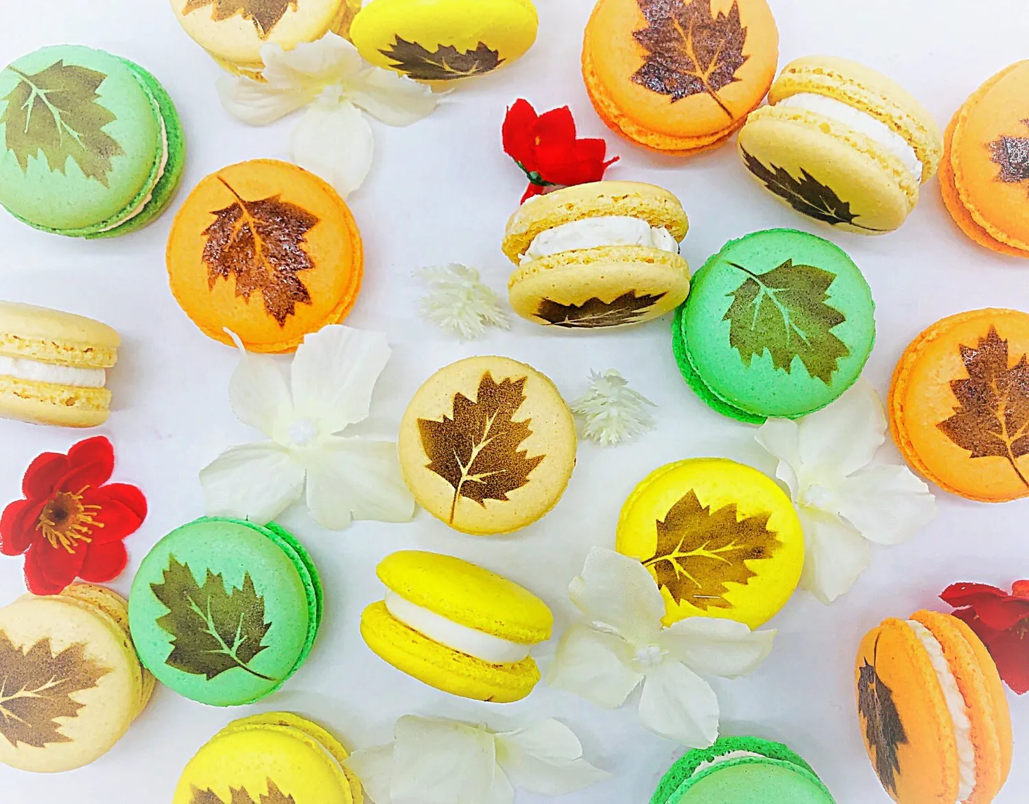 Leaf Macarons | Custom Gourmet Macarons | Perfect for Thanksgiving and Your Next Holiday Celebrations