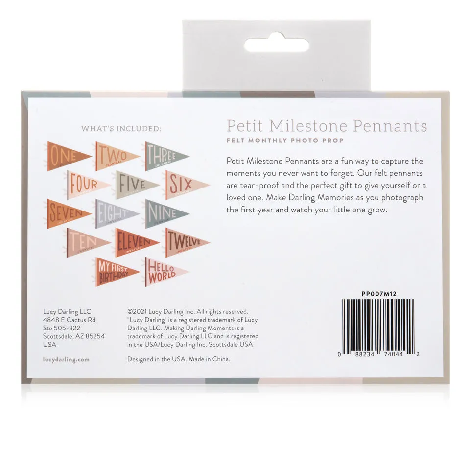 Mountain Fields Petit Milestone Pennant by Lucy Darling