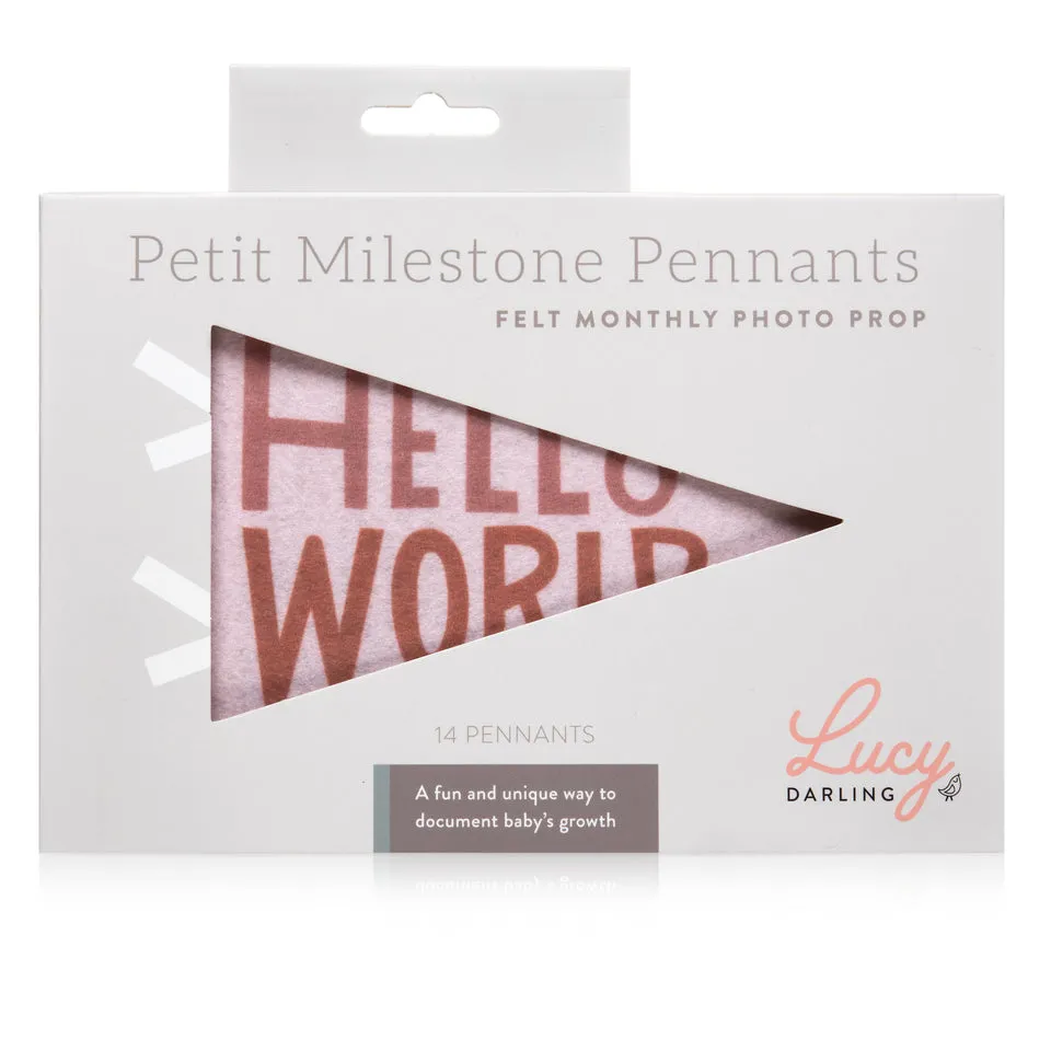 Mountain Fields Petit Milestone Pennant by Lucy Darling