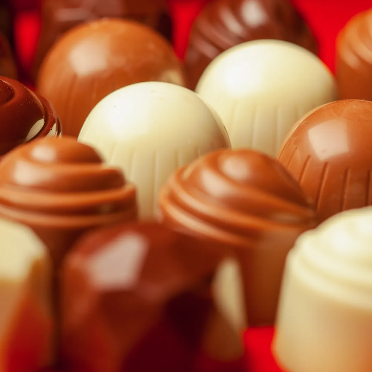 Sugarfree Chocolate Ballotin 460g