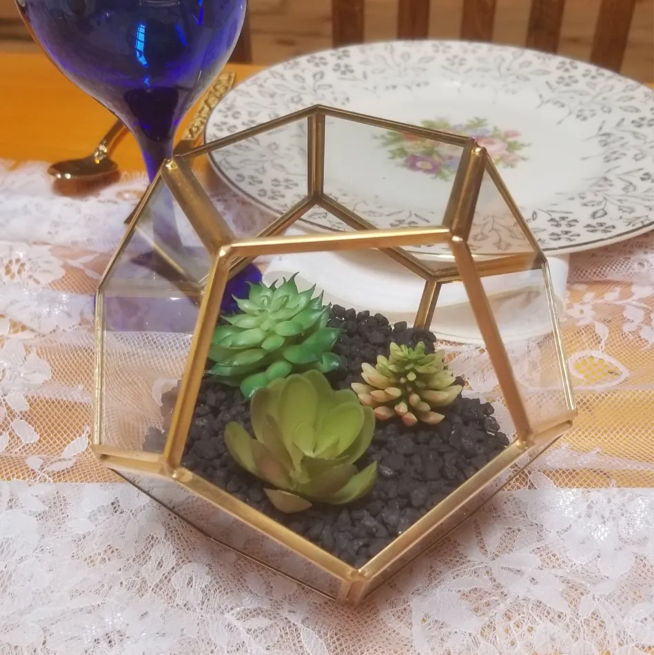 Terrariums