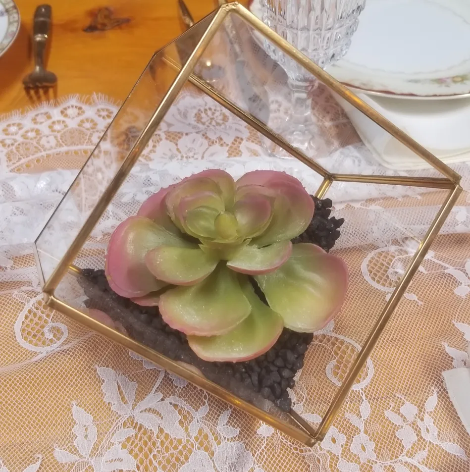 Terrariums