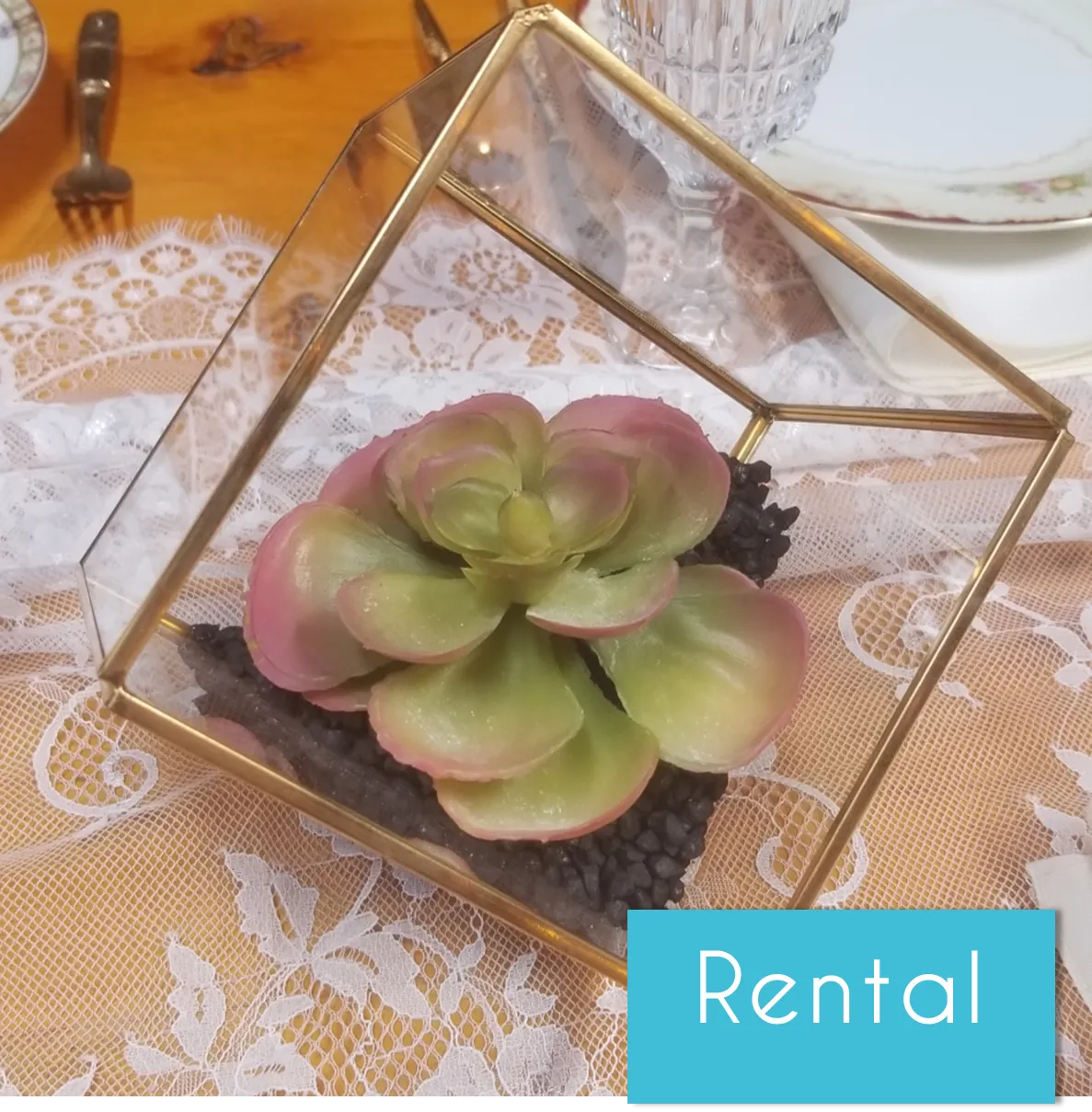 Terrariums