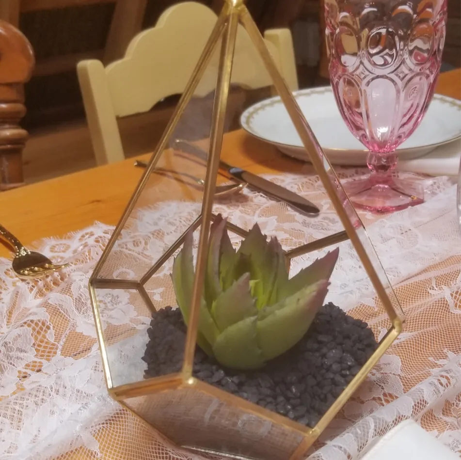 Terrariums