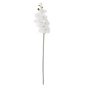 White Orchid Stem - 23.5 Inch