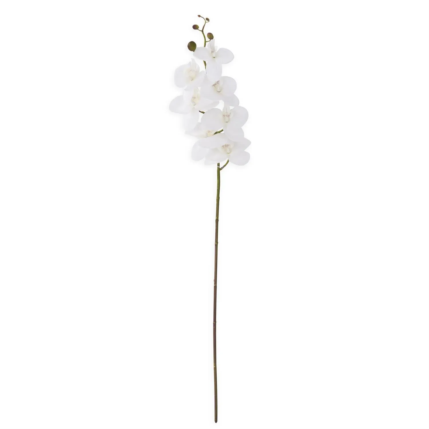 White Orchid Stem - 23.5 Inch