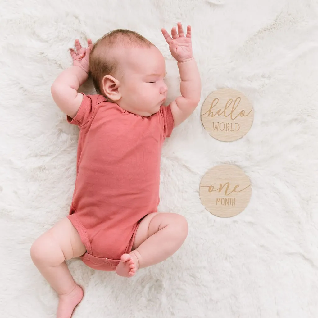 Wooden Reversible Milestone Photo Props by Pearhead
